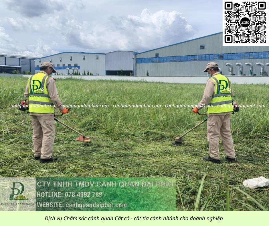 DỊCH VỤ CẮT CỎ ĐỊNH KỲ GIÁ RẺ KCN LỘC AN – BÌNH SƠN ĐỒNG NAI