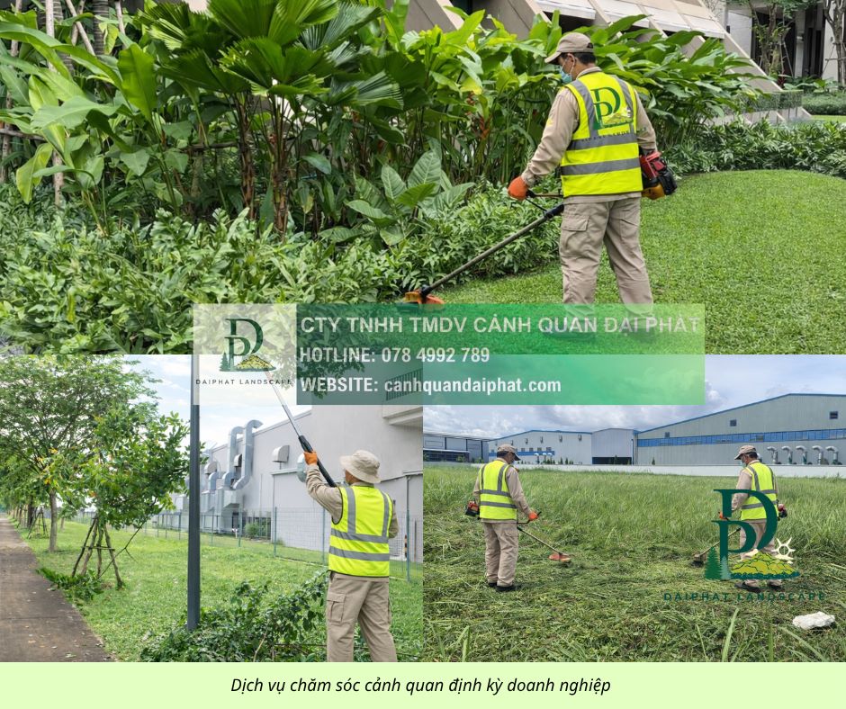 Dịch vụ Cắt cỏ giá rẻ Nhơn Trạch Đồng Nai – Nhanh gọn, sạch sẽ