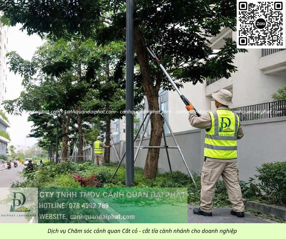 DỊCH VỤ CHĂM SÓC CÂY XANH, THẢM CỎ – CẮT CỎ NHÀ MÁY LONG THÀNH