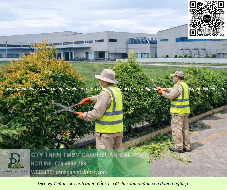 06. Dịch vụ cưa cây cắt cỏ doanh nghiệp đồng nai 050226 4.jpg
