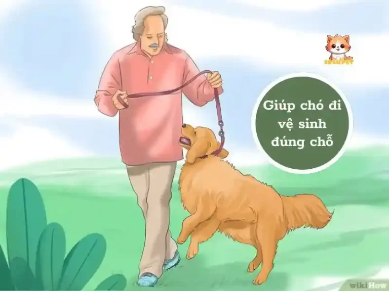 1743763430111.png