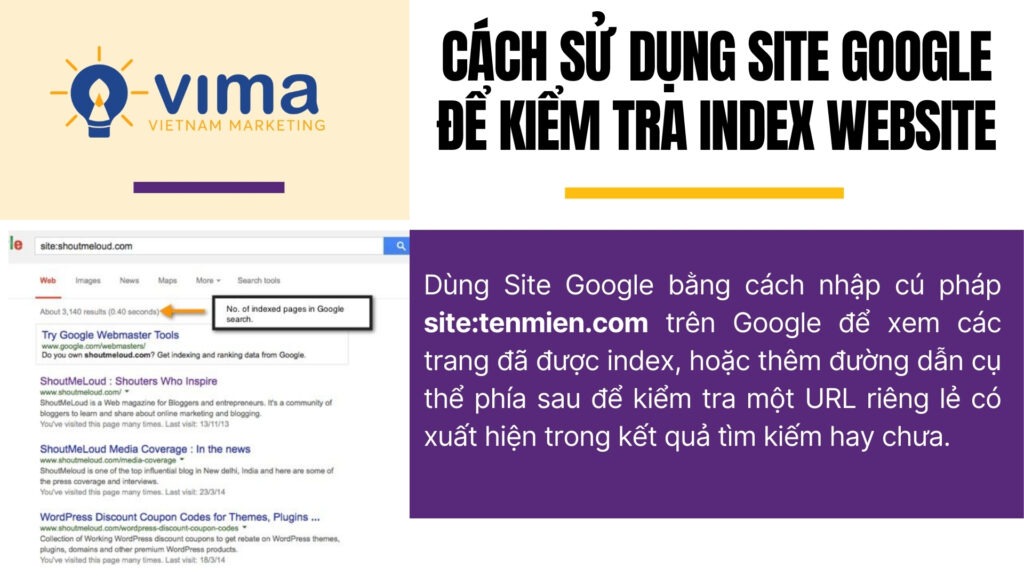 Site Google là gì? Cách dùng để kiểm tra index