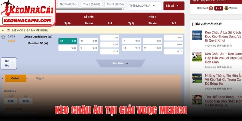 Những điều cần biết về soi kèo bóng đá Mexico