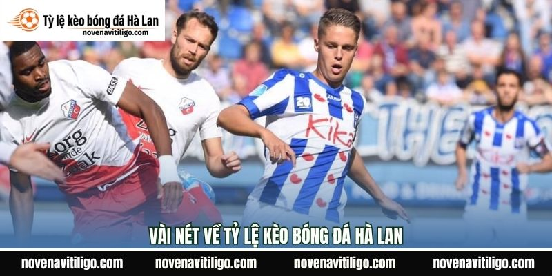 Kinh nghiệm khi cược kèo bóng đá Hà Lan hiệu quả
