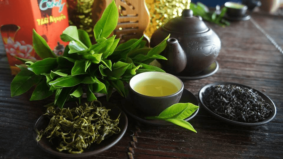 Trà Tân Cương Thái Nguyên Hương Vị Trà Thuần Khiết