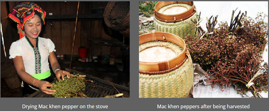 Elevate Your Dishes With Mac Khen Wild Pepper