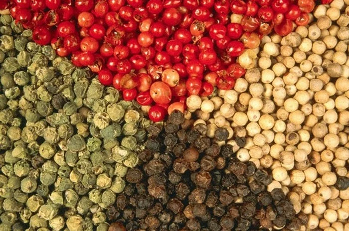 Why Red Phu Quoc Pepper Is A Gourmet Luxury
