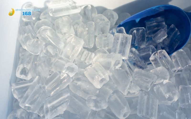 Các loại nước đá viên phổ biến tại Nhà Máy 168