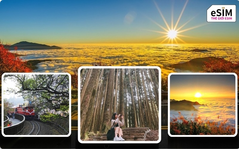 Đi Trekking Alishan: Nên Mua eSIM Đài Loan Gói Nào Tốt Nhất?