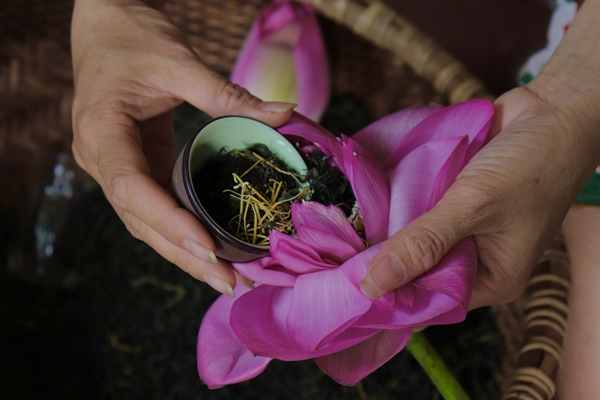Bí quyết chọn chè Sen Tây Hồ làm quà