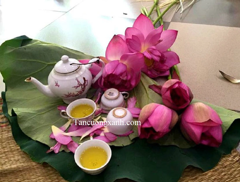 Hương vị say đắm của Trà ướp bông sen