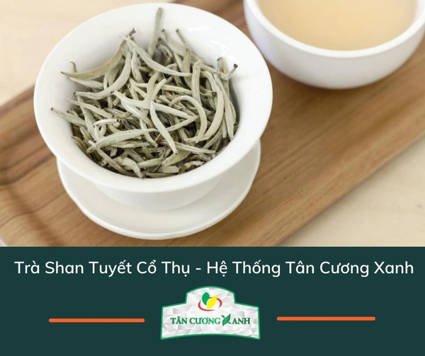 Trà san tuyết cổ thụ: Giá trị thời gian vô giá