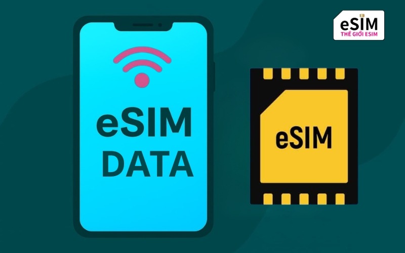 Nên chọn eSIM chỉ có dữ liệu hay esim có số điện thoại?