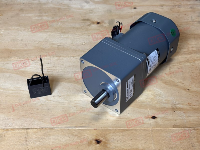 Motor giảm tốc mini Wanshsin 60W 90YS60WGV22 + 90GF-50-H
