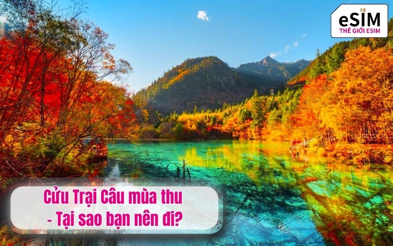 Cửu Trại Câu mùa thu - Tại sao bạn nên đi?