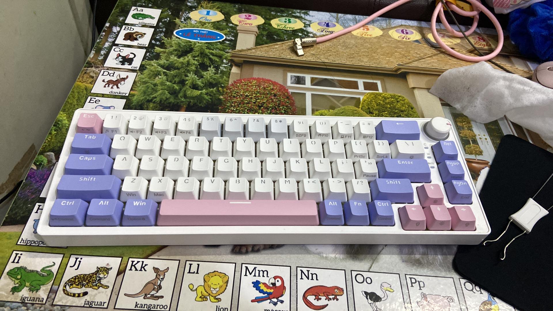 387493088_702682391758722_1197496824018776242_n - Copy.jpg
