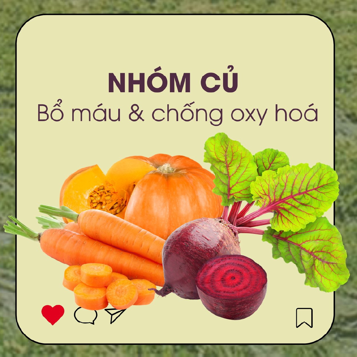 G.Organic - sản phẩm hữu cơ sạch, thuần khiết từ thiên nhiên