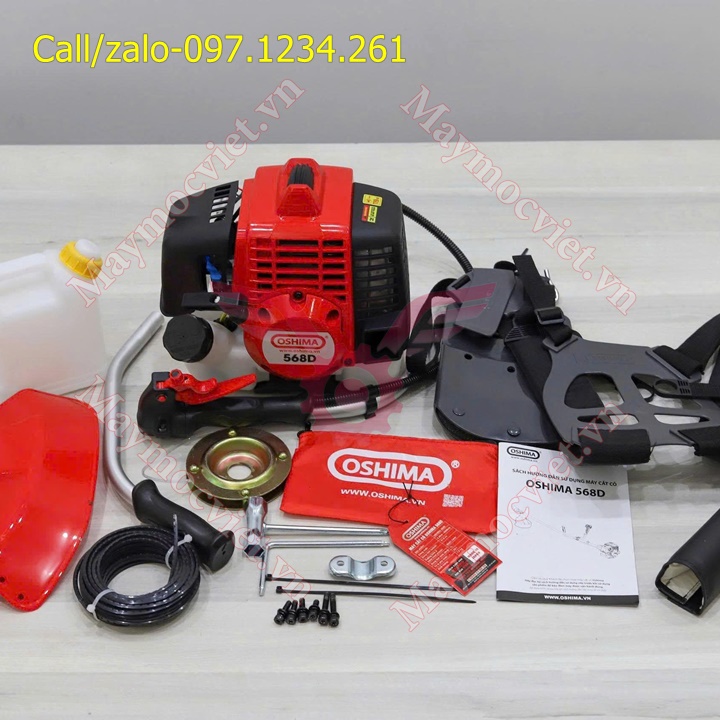 Cat-co-2-thi-Oshima-568D (2).jpg
