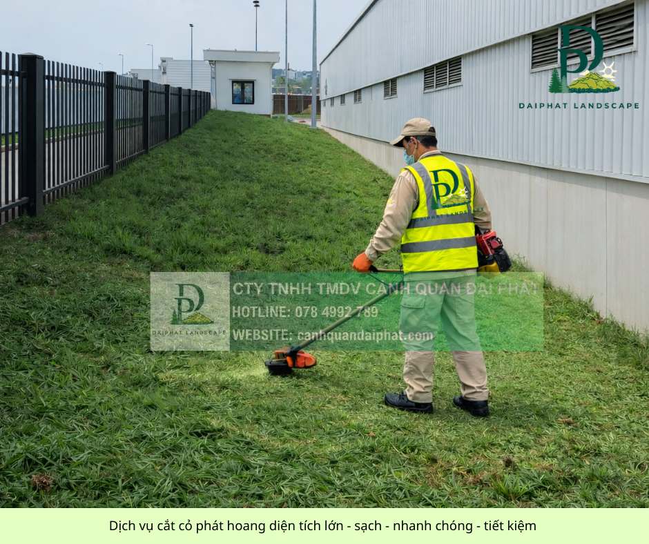 DỊCH VỤ CHĂM SÓC CÂY XANH TRỌN GÓI ĐỒNG NAI – CHUYÊN NGHIỆP