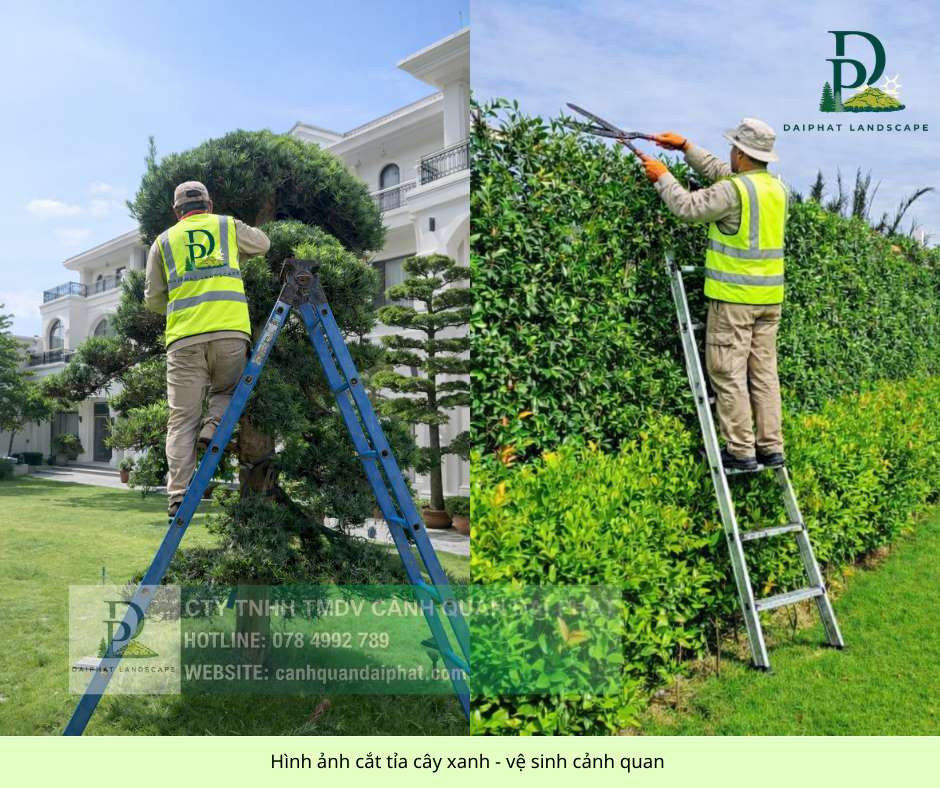 DỊCH VỤ CẮT CỎ – CƯA CÂY TẠI KCN LONG THÀNH, ĐỒNG NAI