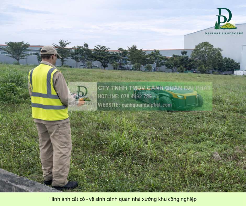 Báo giá cắt cỏ, chăm sóc cảnh quan KCN Long Đức, Đồng Nai