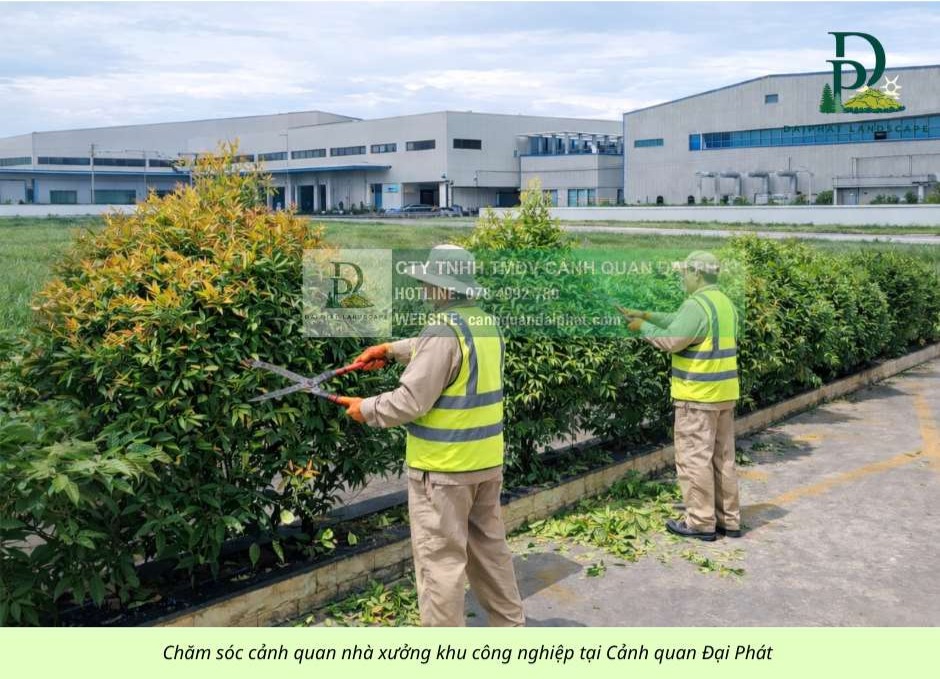 CHĂM SÓC CÂY XANH – THẢM CỎ KCN LONG THÀNH, ĐỒNG NAI