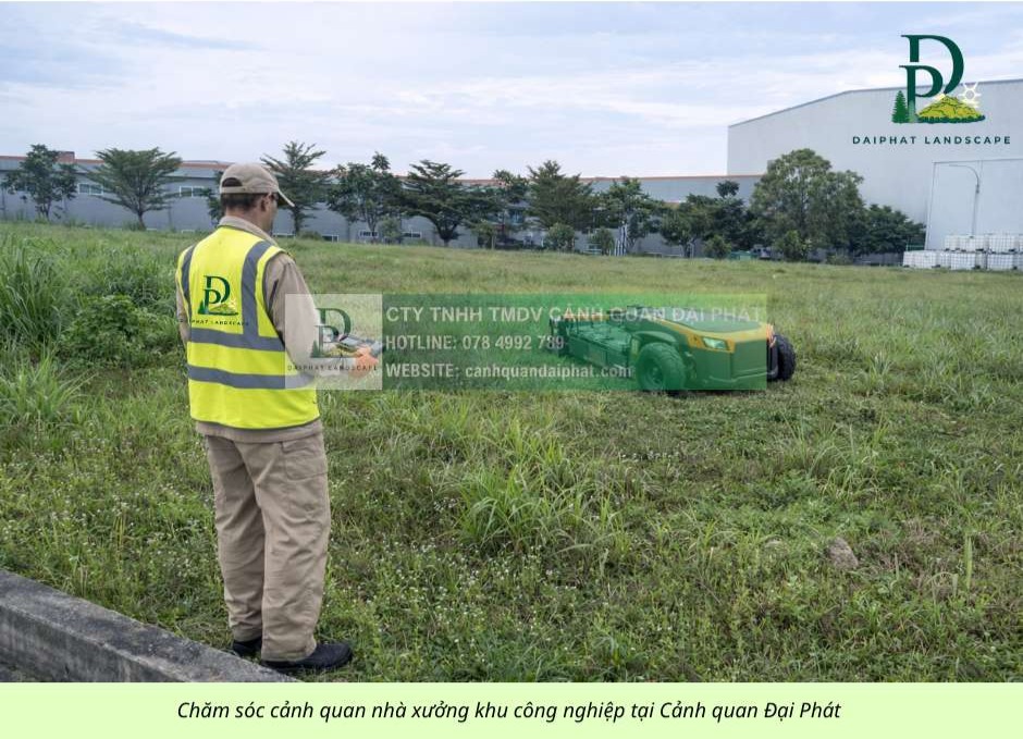 CHĂM SÓC CÂY XANH – CẮT CỎ KCN AN PHƯỚC ĐỒNG NAI