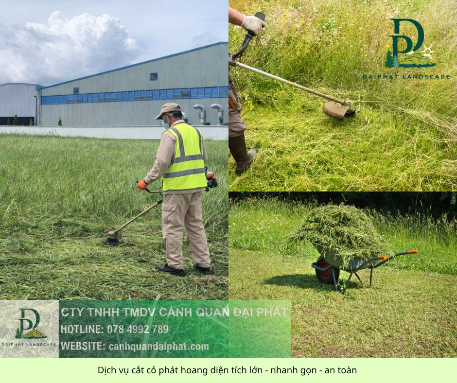 Dịch Vụ Cắt Cỏ, Cưa Cây KCN Long Khánh Đồng Nai Chuyên Nghiệp
