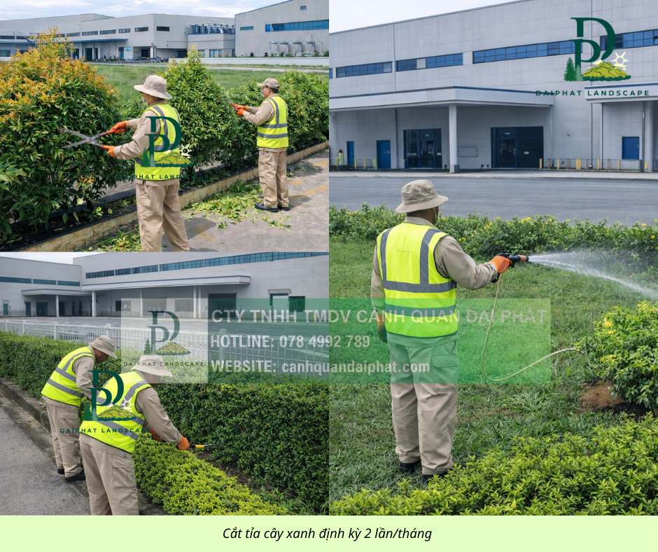 Cắt cỏ – cắt tỉa cây xanh KCN Long Đức, Đồng Nai