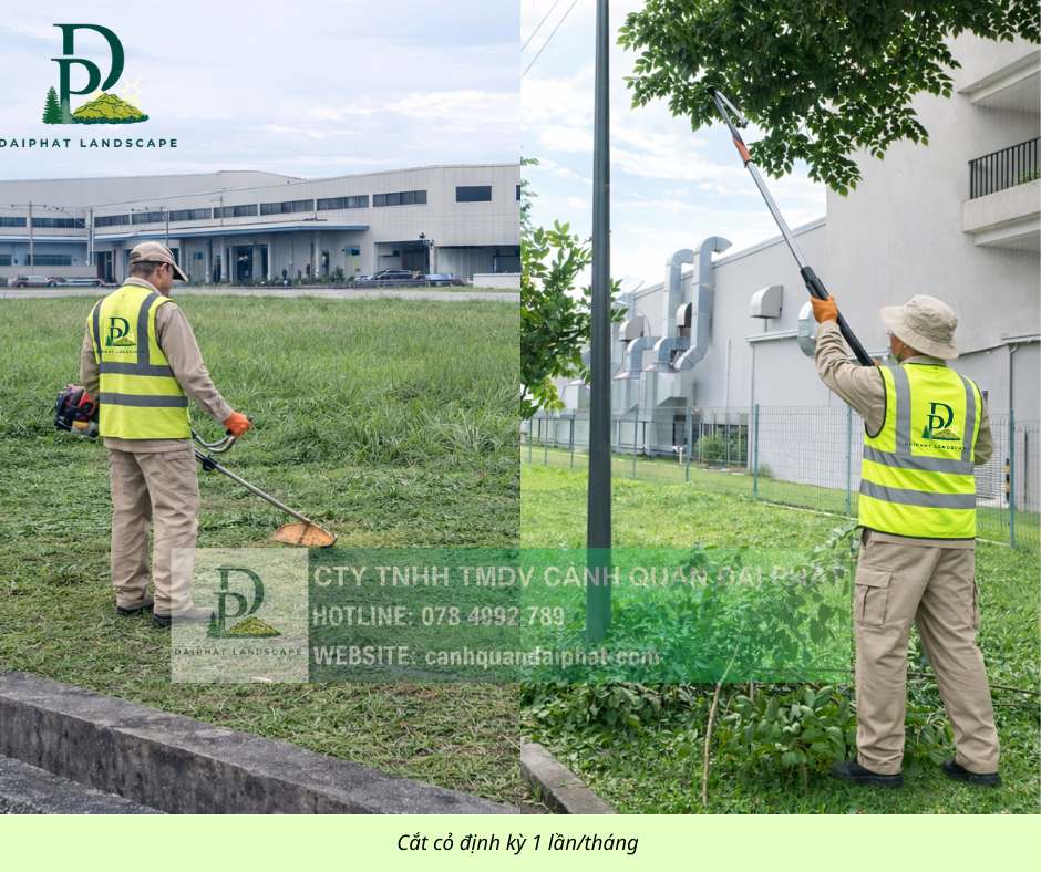chăm sóc cắt tỉa cây xanh thảm cỏ công trình Đồng Nai  090326 4.jpg