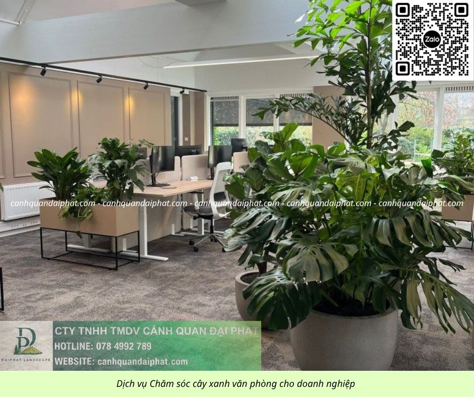 Chăm sóc cây xanh văn phòng 300526 10.jpg