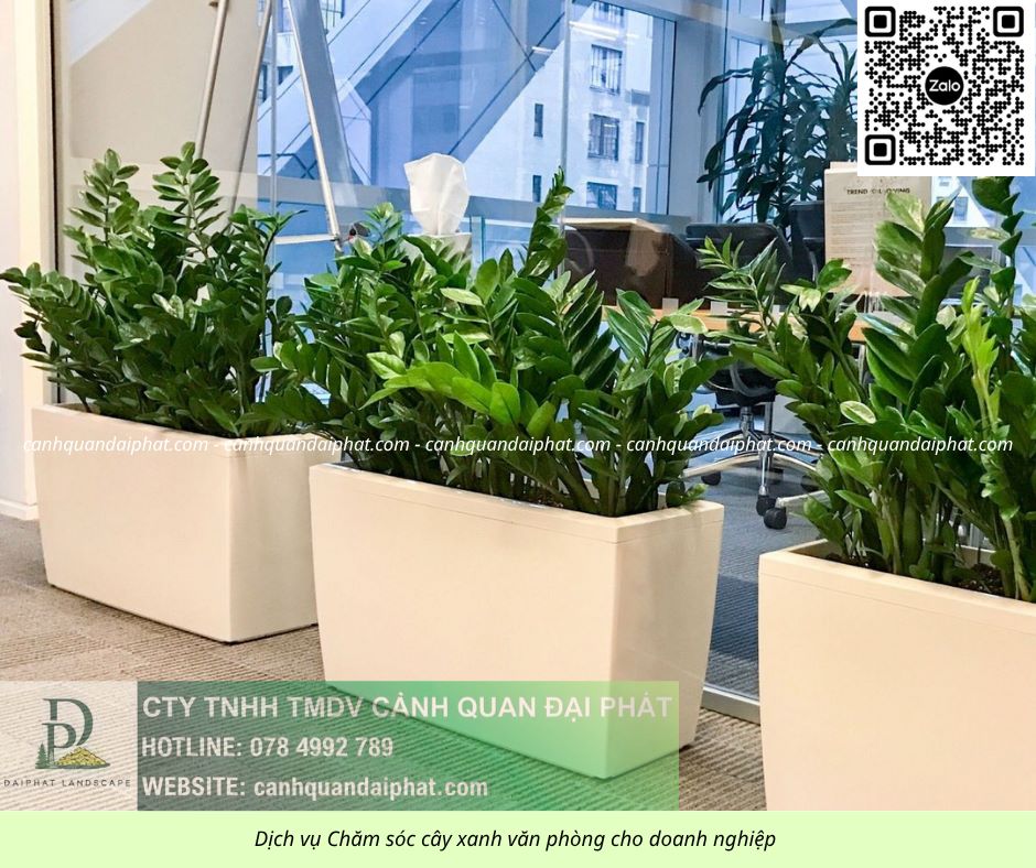 Chăm sóc cây xanh văn phòng 300526 2.jpg