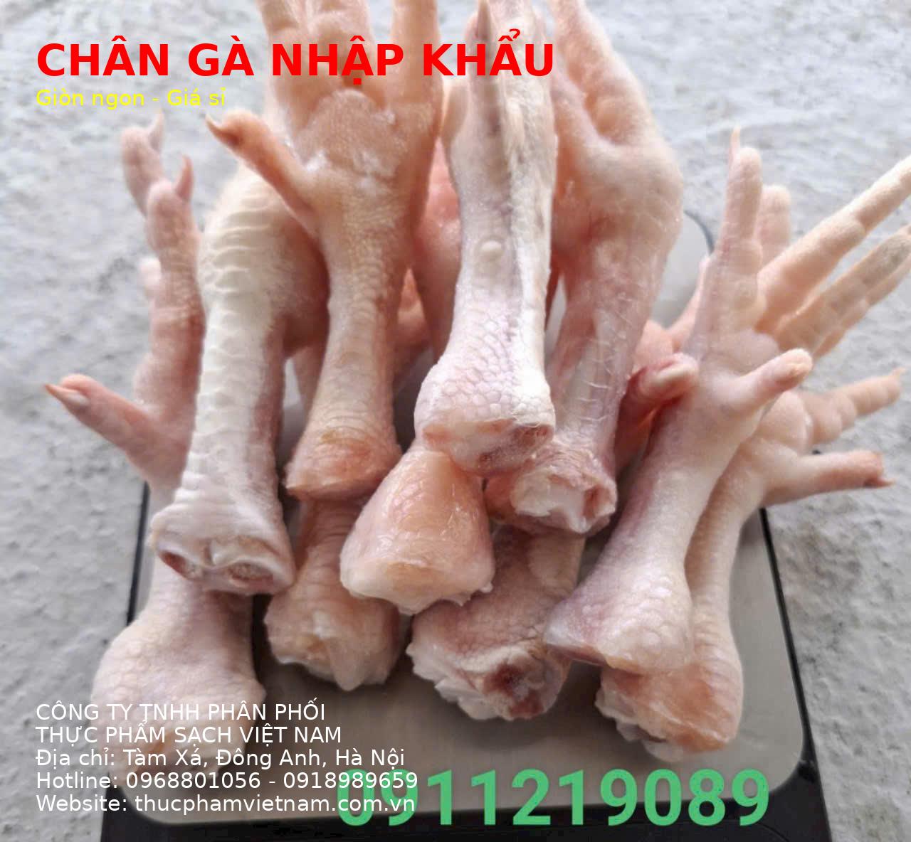 Chân Gà Ý Đông Lạnh Nhập Khẩu – Đầy Đủ Kiểm Dịch, Giá Sỉ
