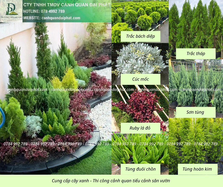 Thiết Kế Thi Công Tiểu Cảnh Sân Vườn Thảo Điền TP.HCM