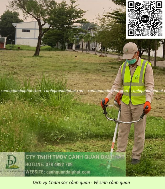 DỊCH VỤ CẮT CỎ – CƯA CÂY BÌNH DƯƠNG | NHANH CHÓNG – AN TOÀN
