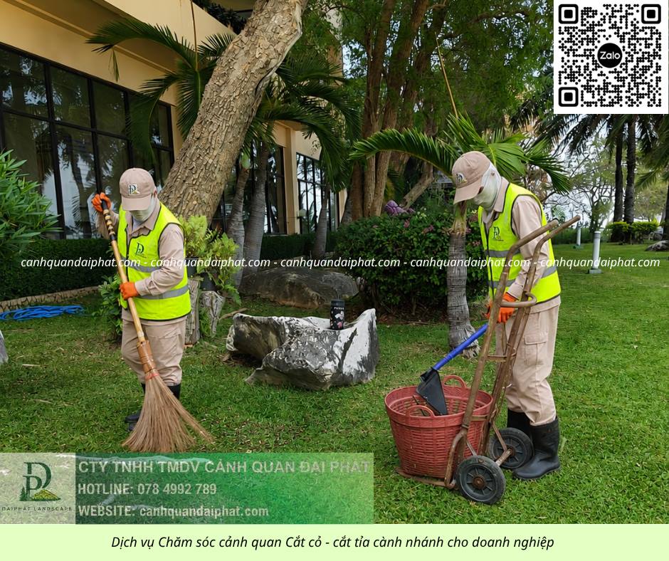 DỊCH VỤ CHĂM SÓC CÂY XANH KCN LINH TRUNG, TP.HCM