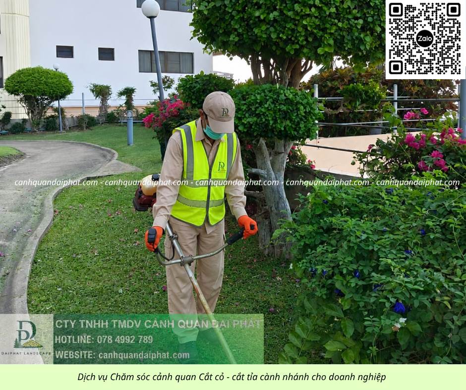 Chăm sóc cây xanh Cắt cỏ KCN Biên Hòa Đồng Nai