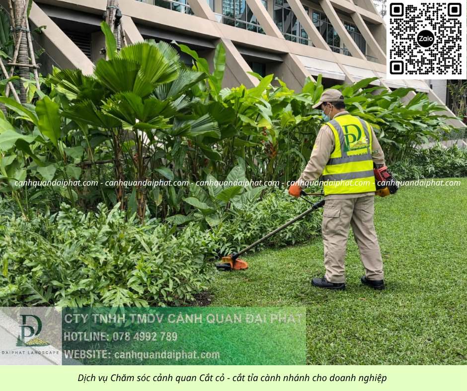 Dịch vụ cưa cây cắt cỏ doanh nghiệp đồng nai 050226 3.jpg