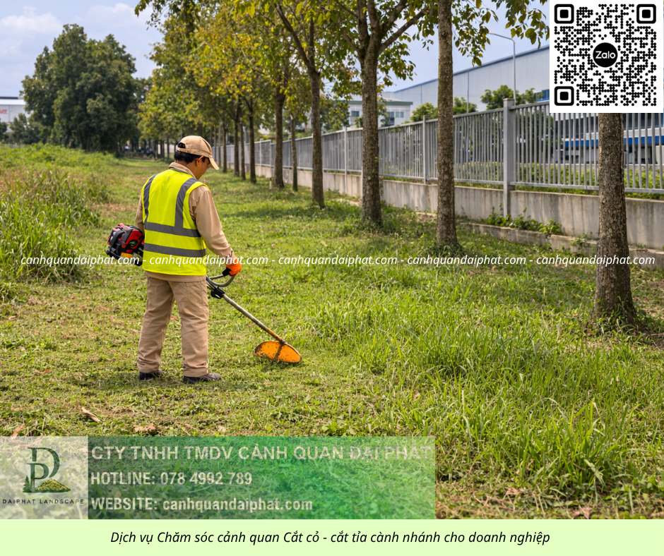Dịch vụ cưa cây – cắt cỏ Đồng Nai