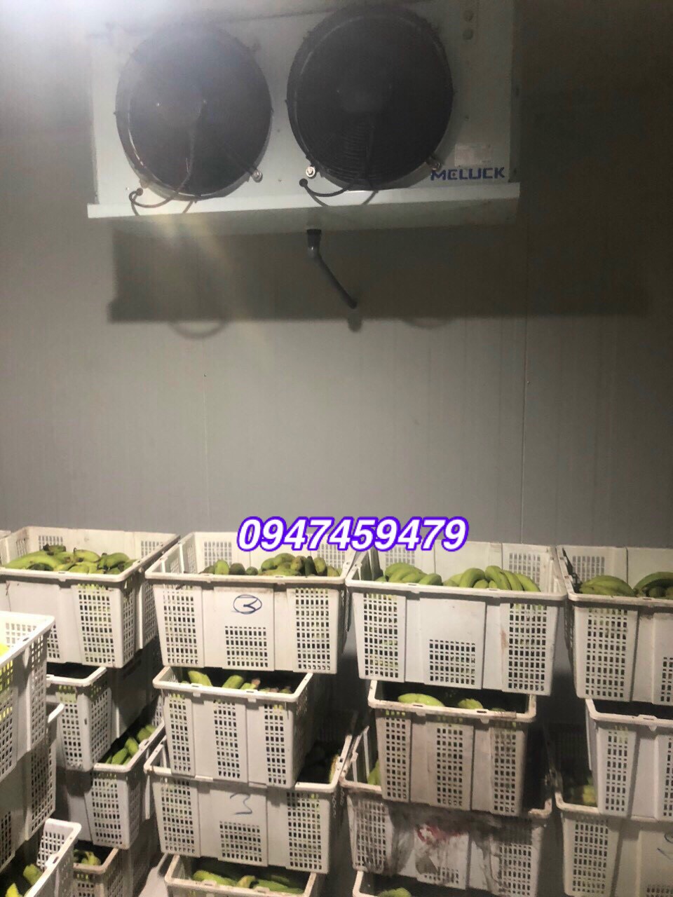kho lạnh bảo quản chuối-1.jpg