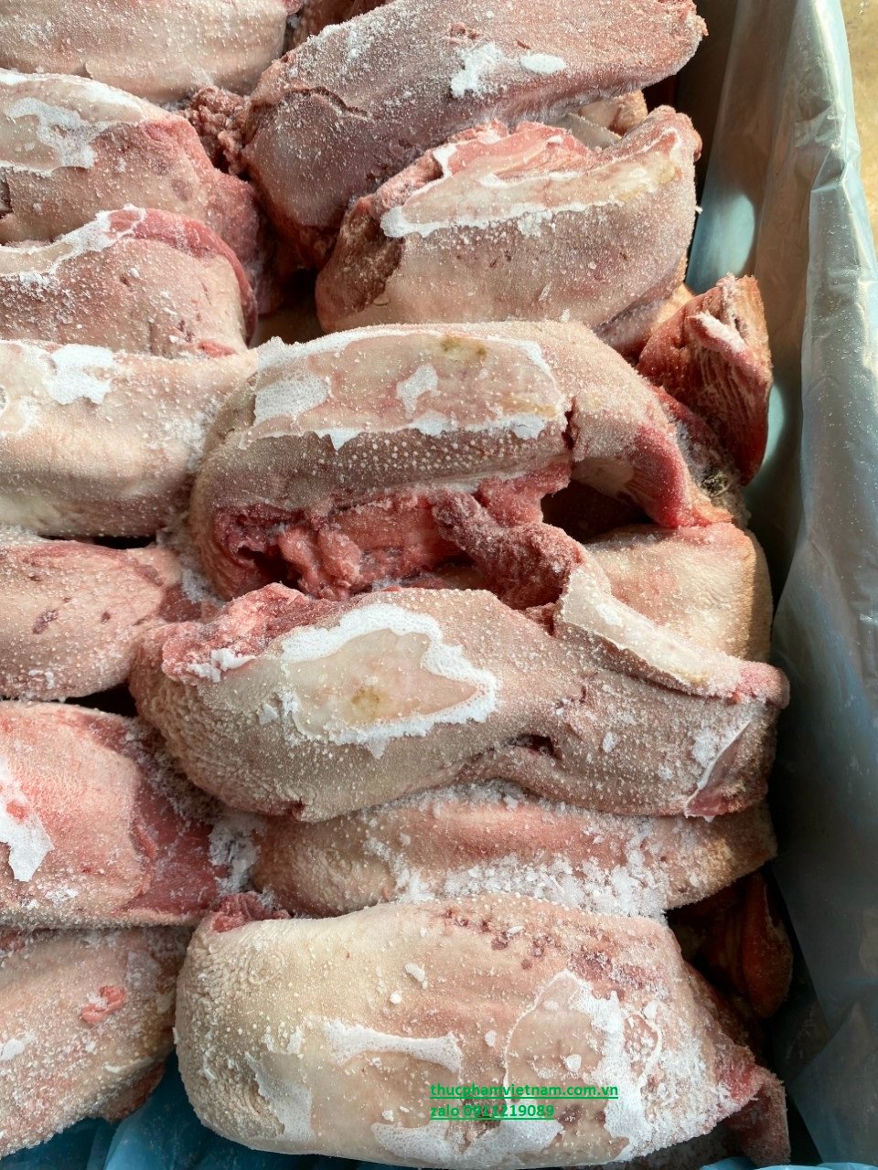 Địa chỉ cung cấp lưỡi heo cho nhà hàng, quán ăn