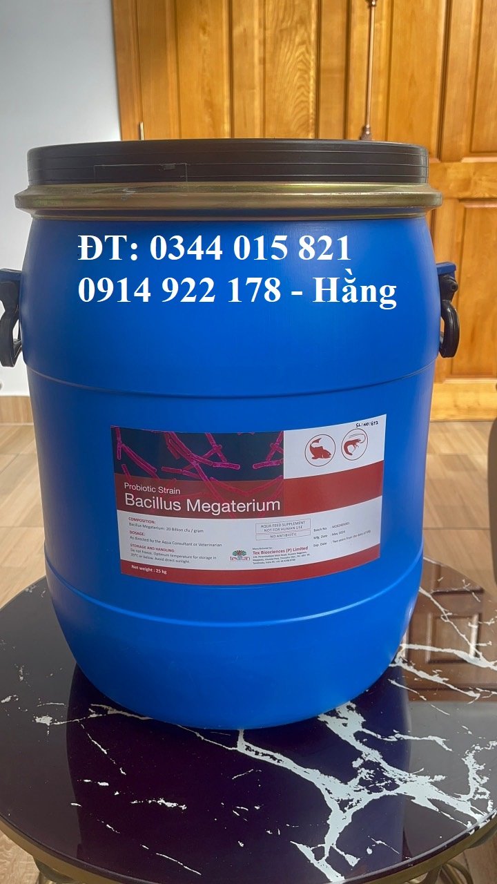 Men Vi Sinh Bacillus Megaterium, Hỗ Trợ Đường Ruột, Giải Pháp Tha