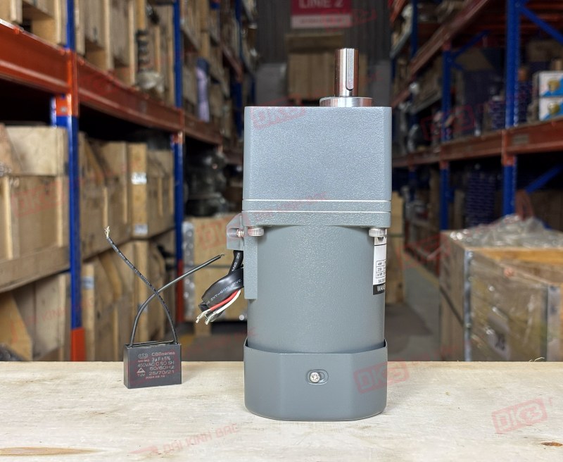 Motor giảm tốc mini Wanshsin 40W 90YS40WGV22 + 90GF-20-H