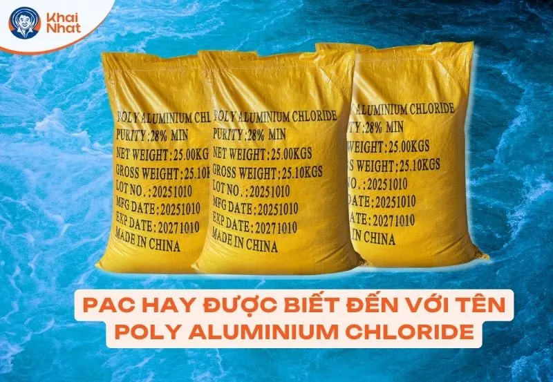 pac la gi.png