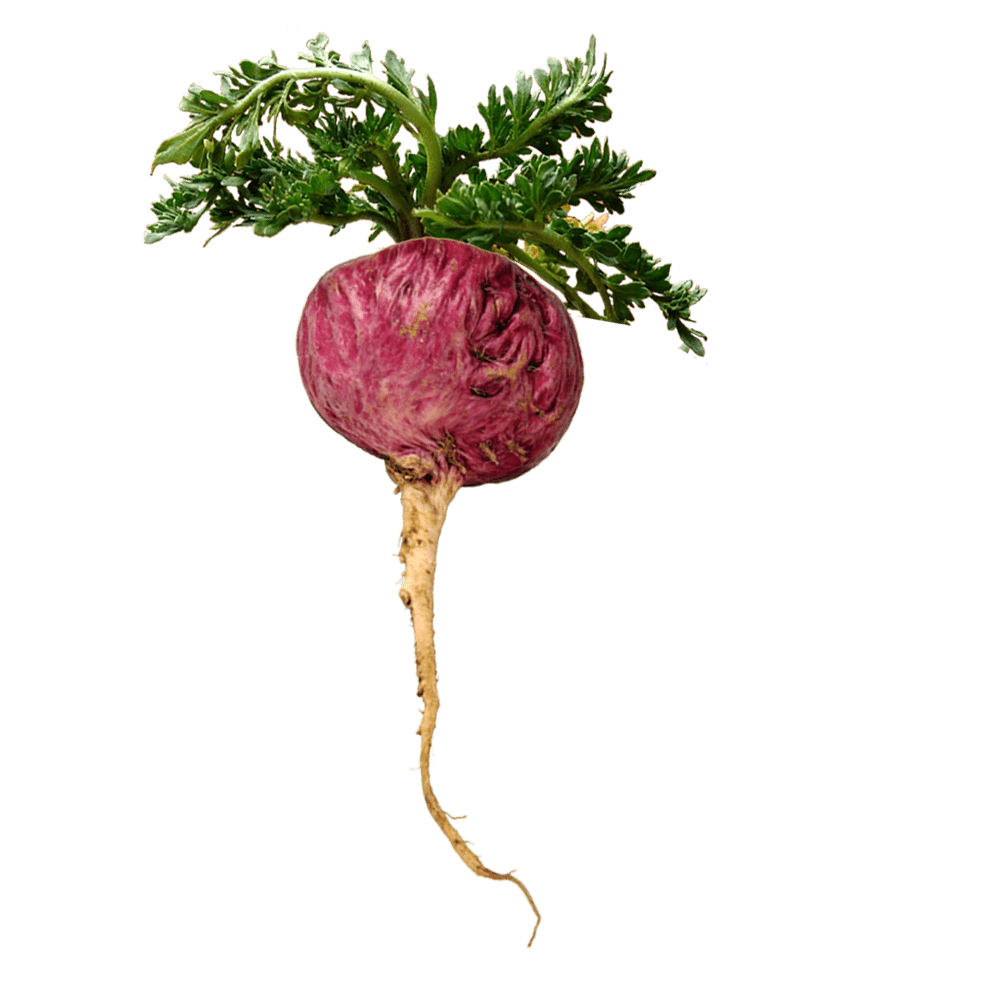 Red-min.png