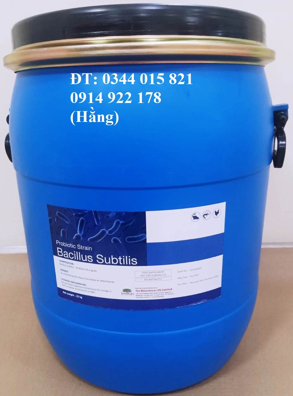 Bacillus Subtilis, Bổ Sung Lợi khuẩn, Hỗ Trợ Đường Ruột Cho Tôm
