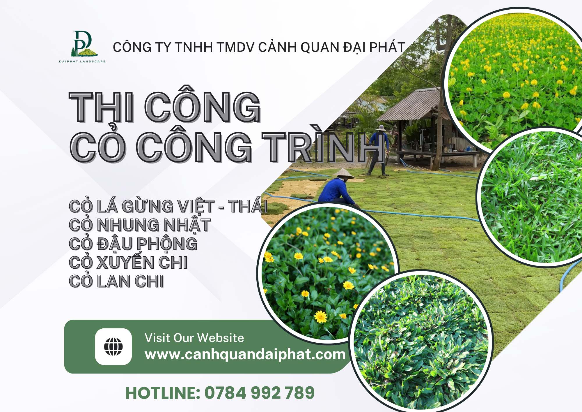 CUNG CẤP & THI CÔNG CỎ CÔNG TRÌNH ĐỒNG NAI