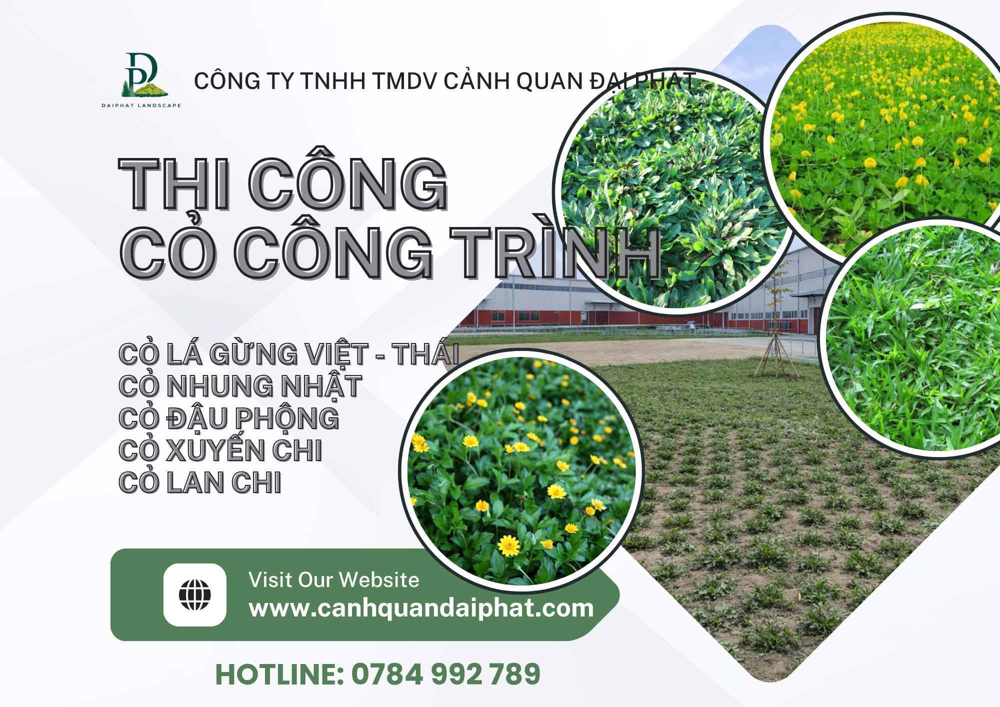 thi công cỏ lá gừng cỏ nhung nhật 170426 2.jpg