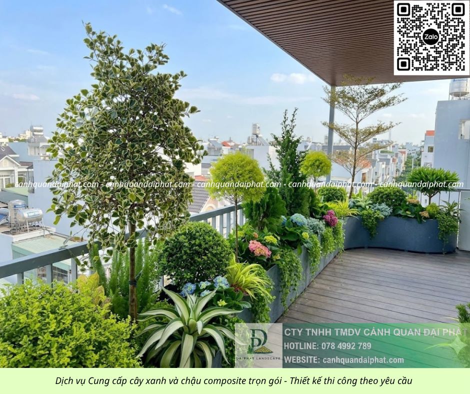 THI CÔNG CHẬU COMPOSITE SÂN VƯỜN GIÁ RẺ TP.HCM – CUNG CẤP CÂY CẢN