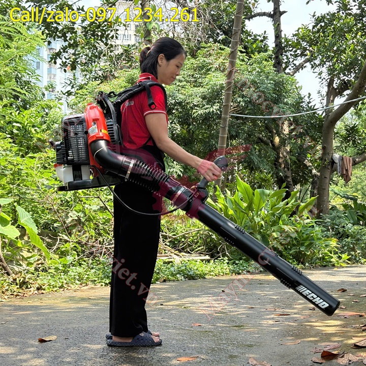 Thoi-la-chay-xang-Echo-PB770 (2).jpg
